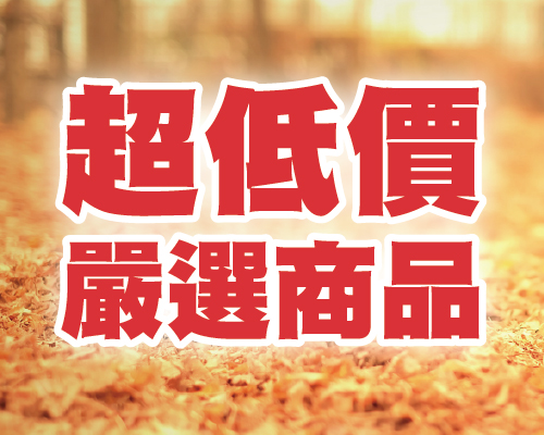 11月超低價嚴選商品