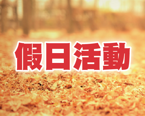 11月假日活動
